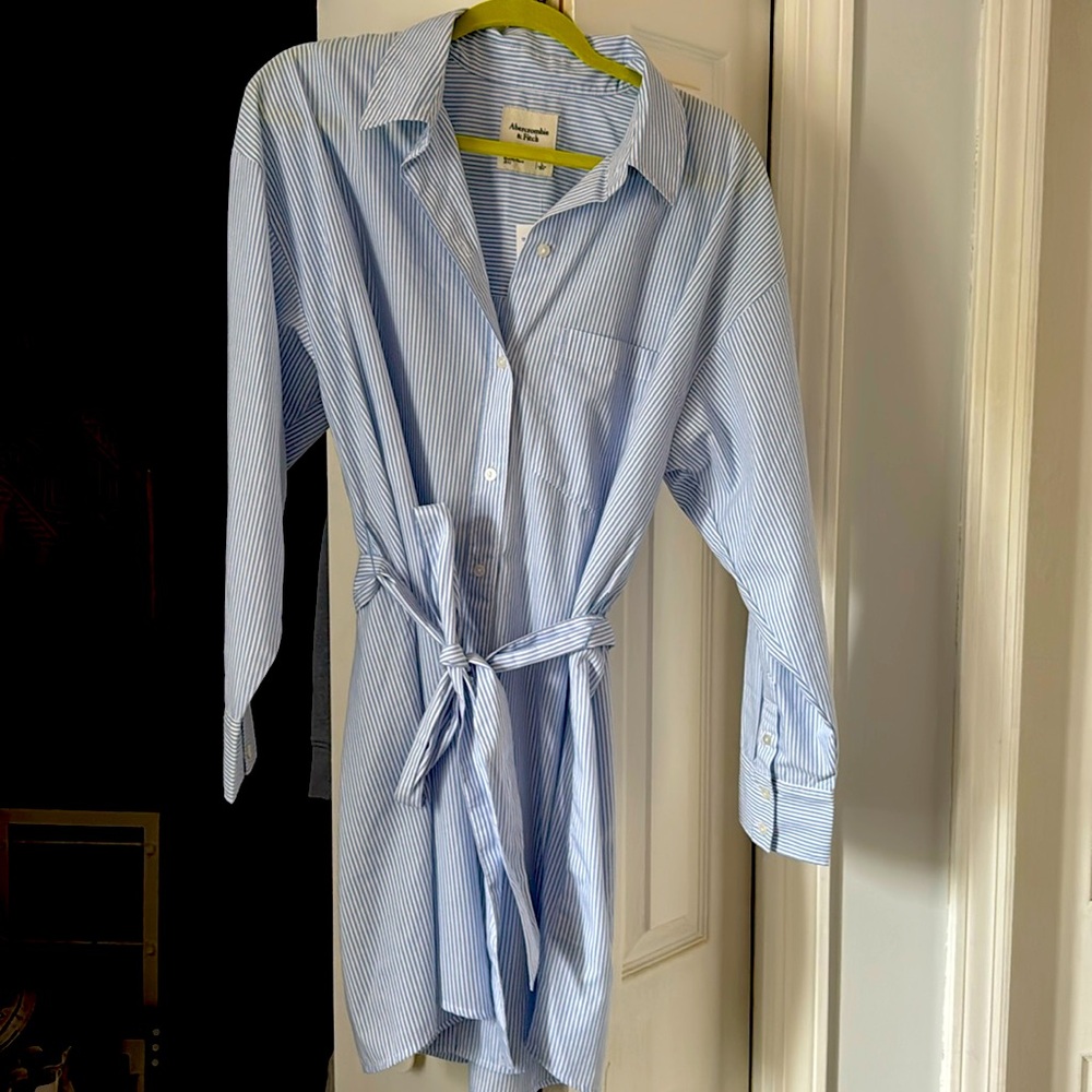 Abercrombie Striped Shirt Dress